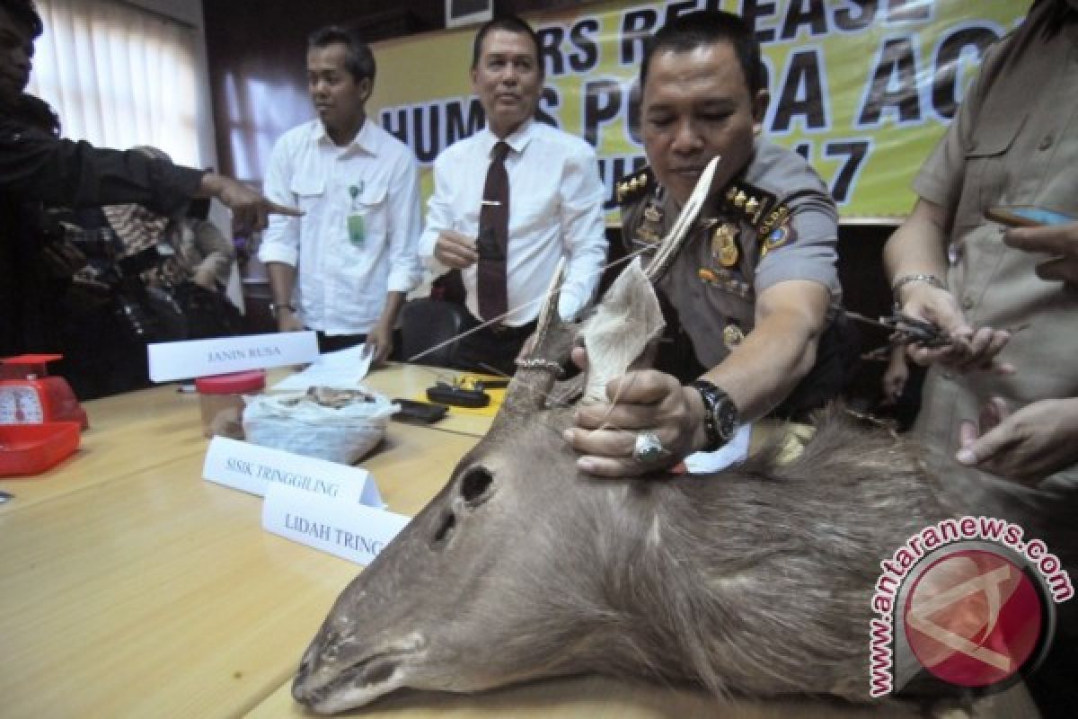 Masih ada indikasi perdagangan satwa di Aceh