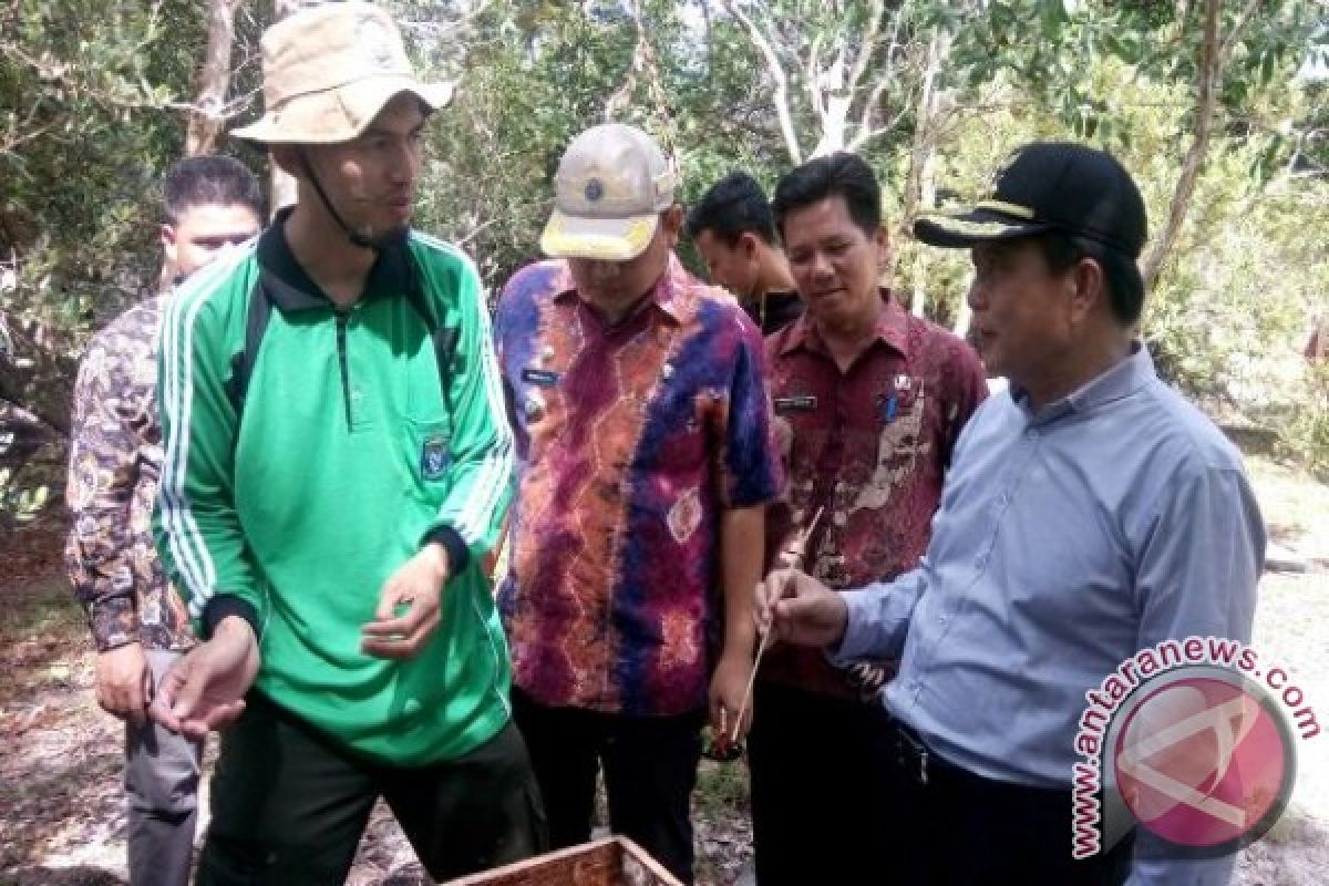 Bupati Bangka Tengah Dorong Budi Daya Madu Kelulut