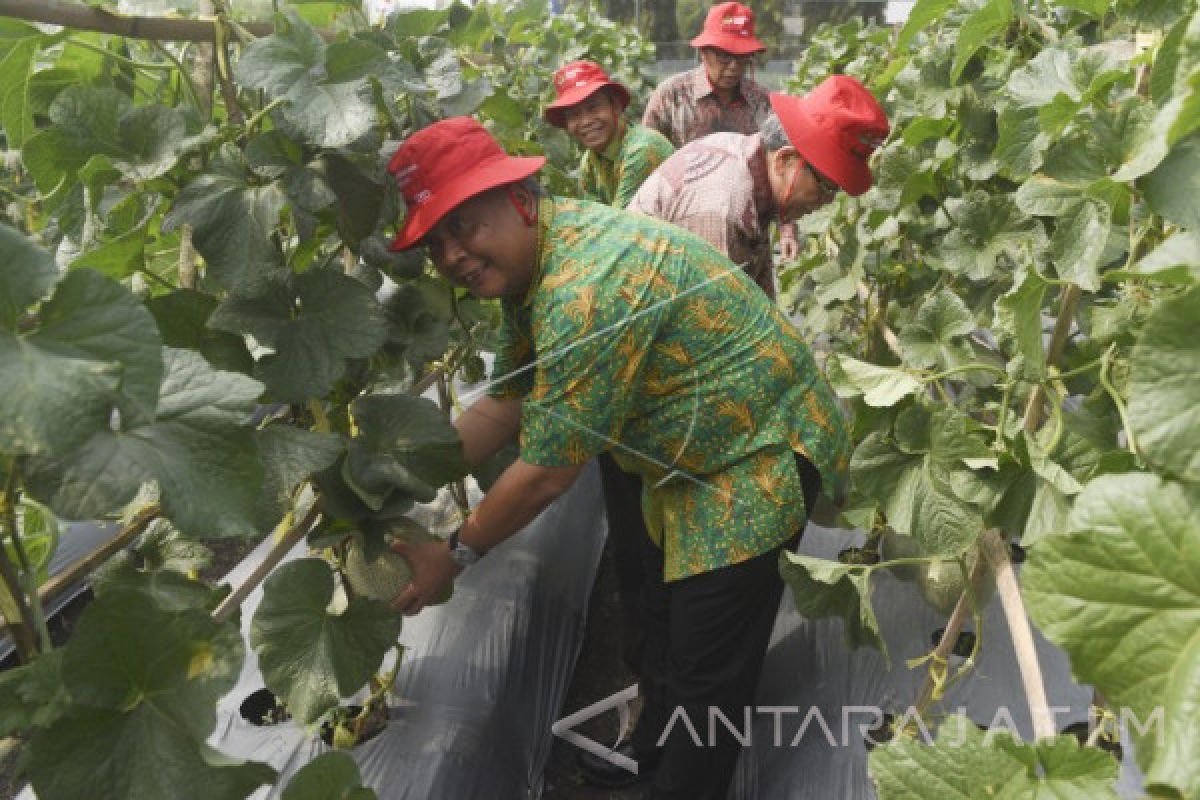 Petrokimia Gresik Gandeng BPPT Kembangkan Riset Zat Pangan 