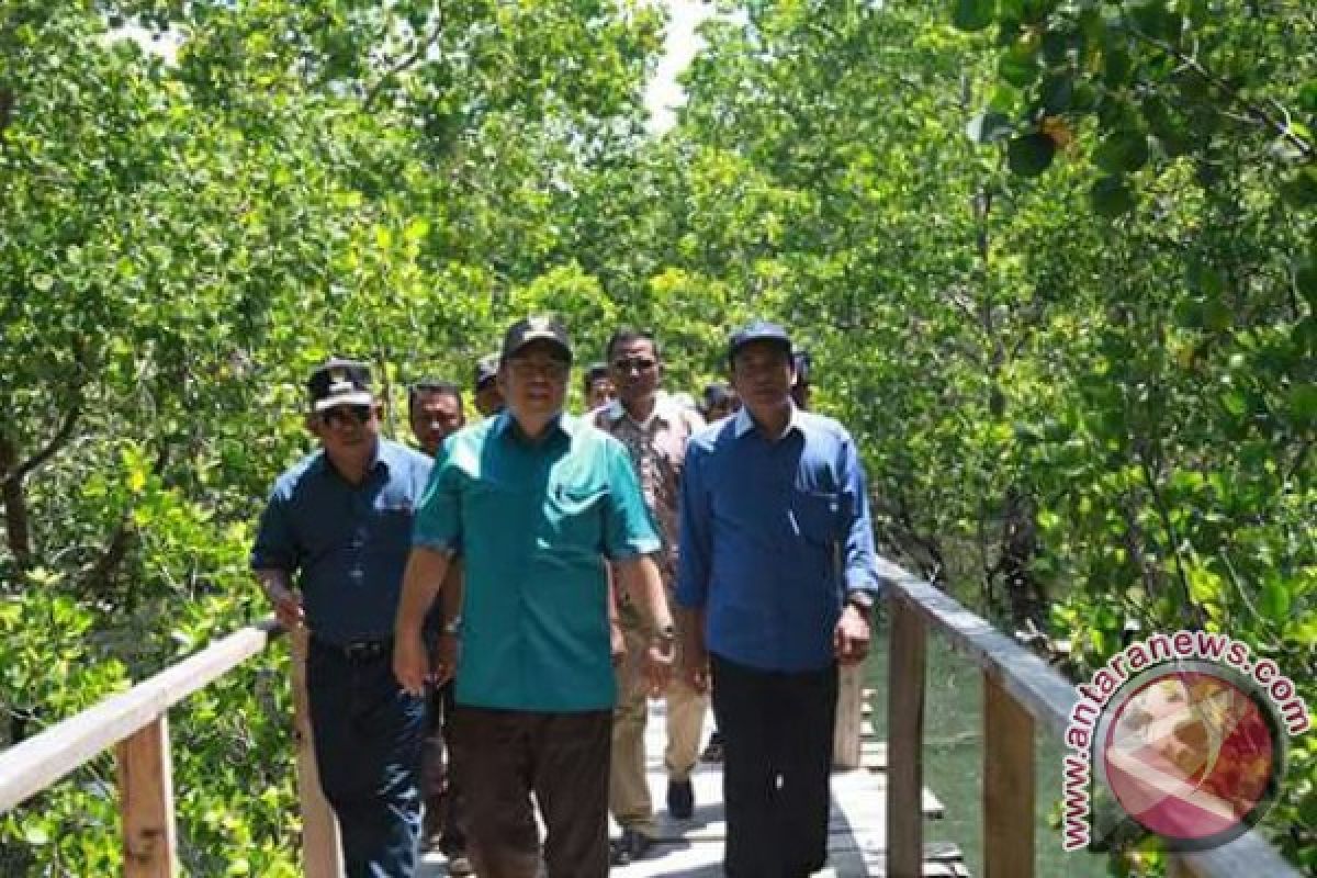 DKP: Kawasan Mangrove di Kendari Semakin Menyusut 