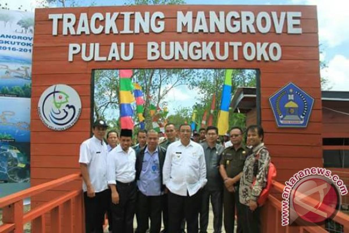 Kendari Jadikan Kawasan Mangrove Areal "Smart Point" 