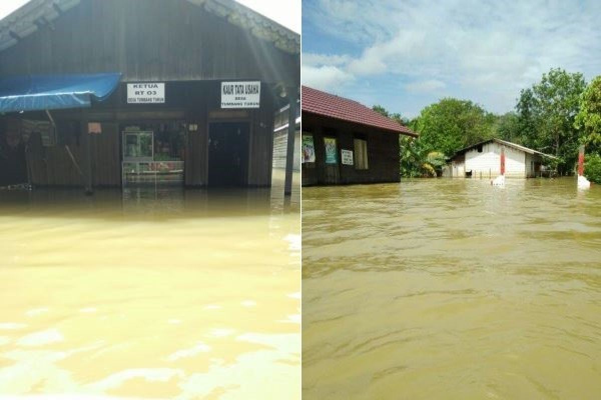 Langkah Cepat Bantu Korban Banjir, Bupati Kapuas Instruksi Dinas Serentak Turun ke Lokasi