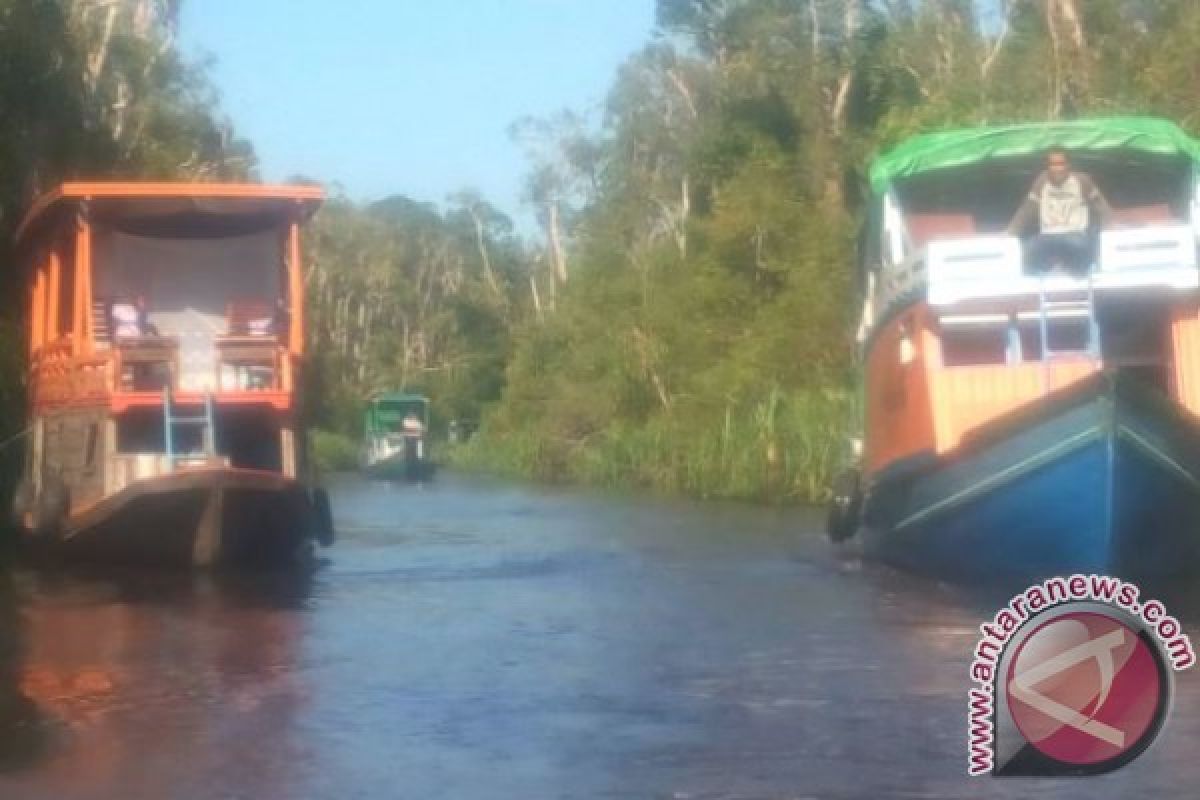 Dua turis mancanegara dikabarkan menghilang di Tanjung Puting