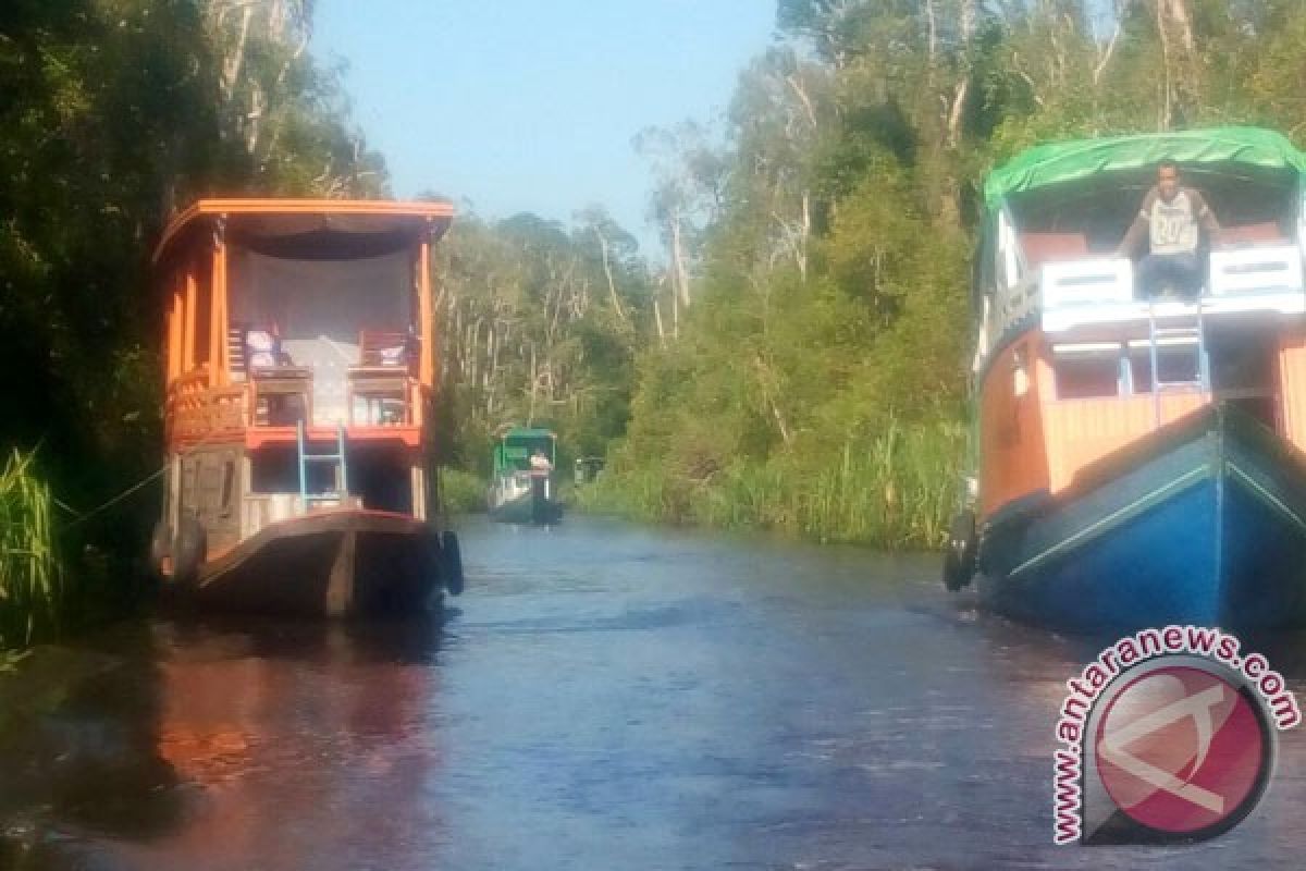 Kunjungan Wisnus Lampaui Wisman Di Tanjung Puting