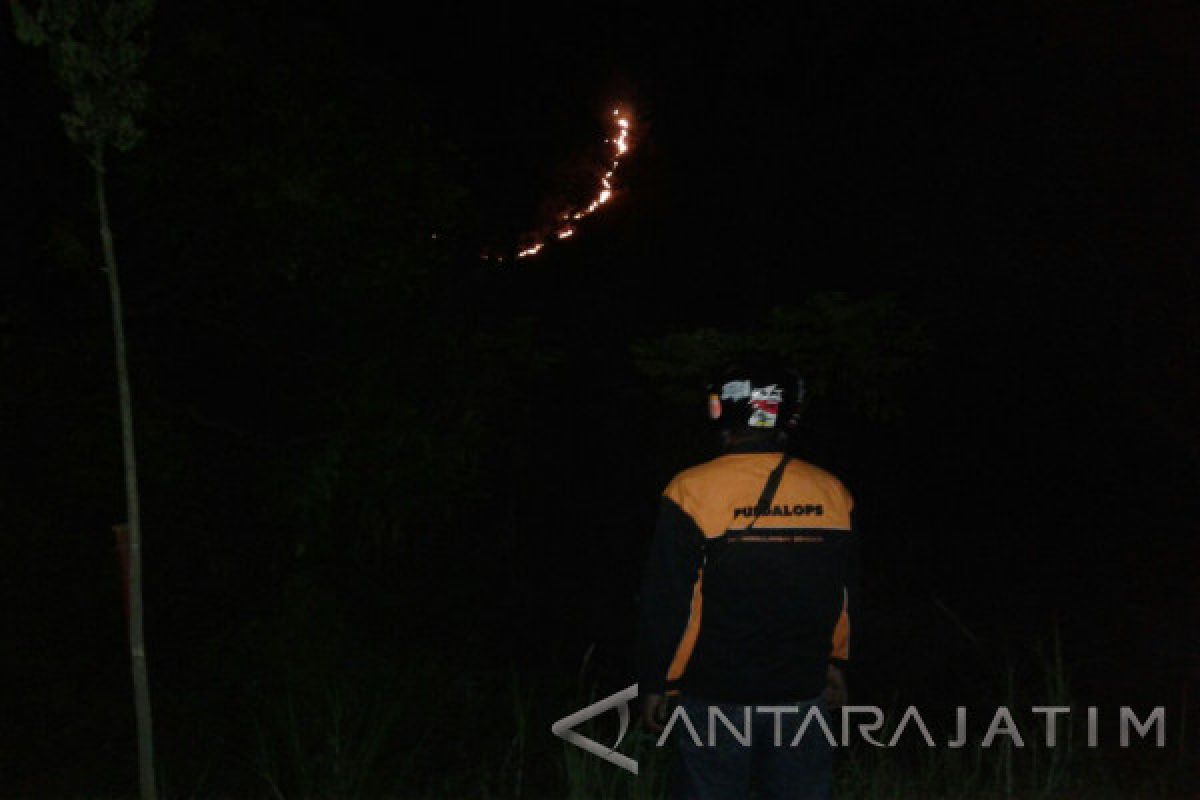 Hutan di Kawasan Perhutani Situbondo Terbakar