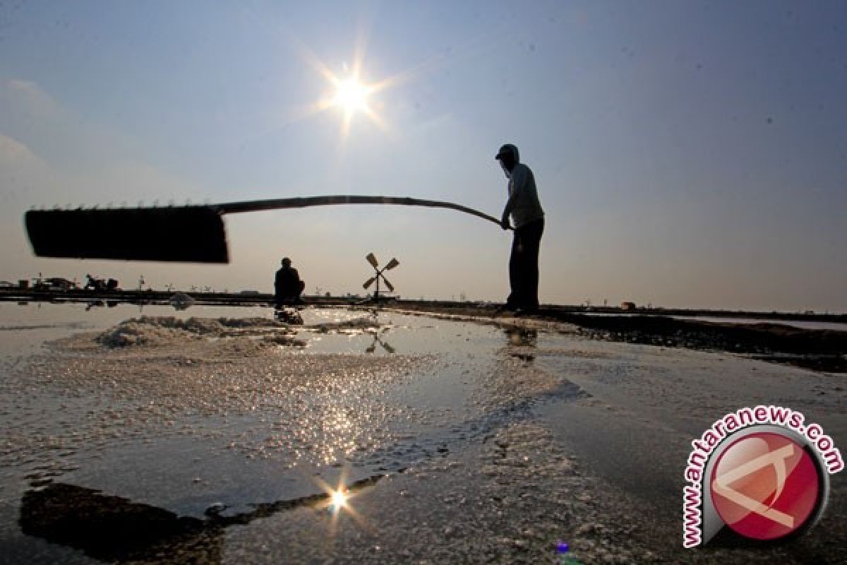 Kenaikan Harga Garam Tak Beratkan Warga Samarinda 