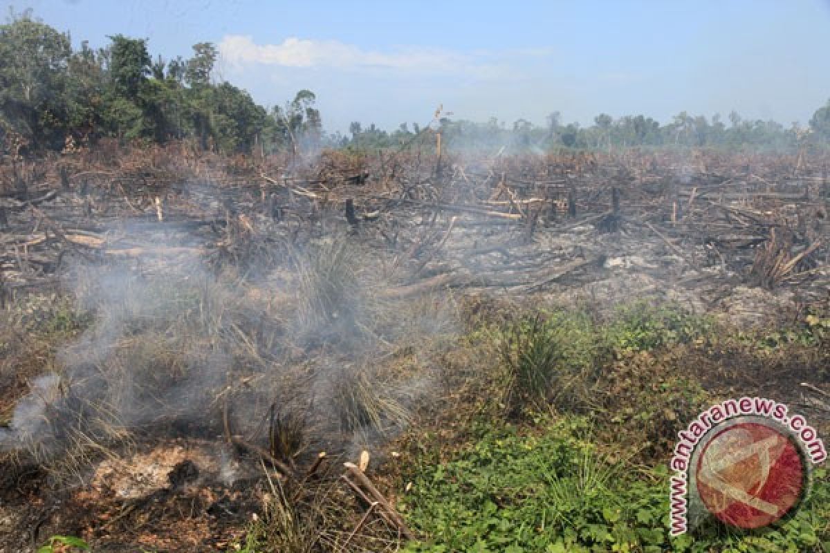 Pemkab imbau masyarakat waspada kebakaran hutan