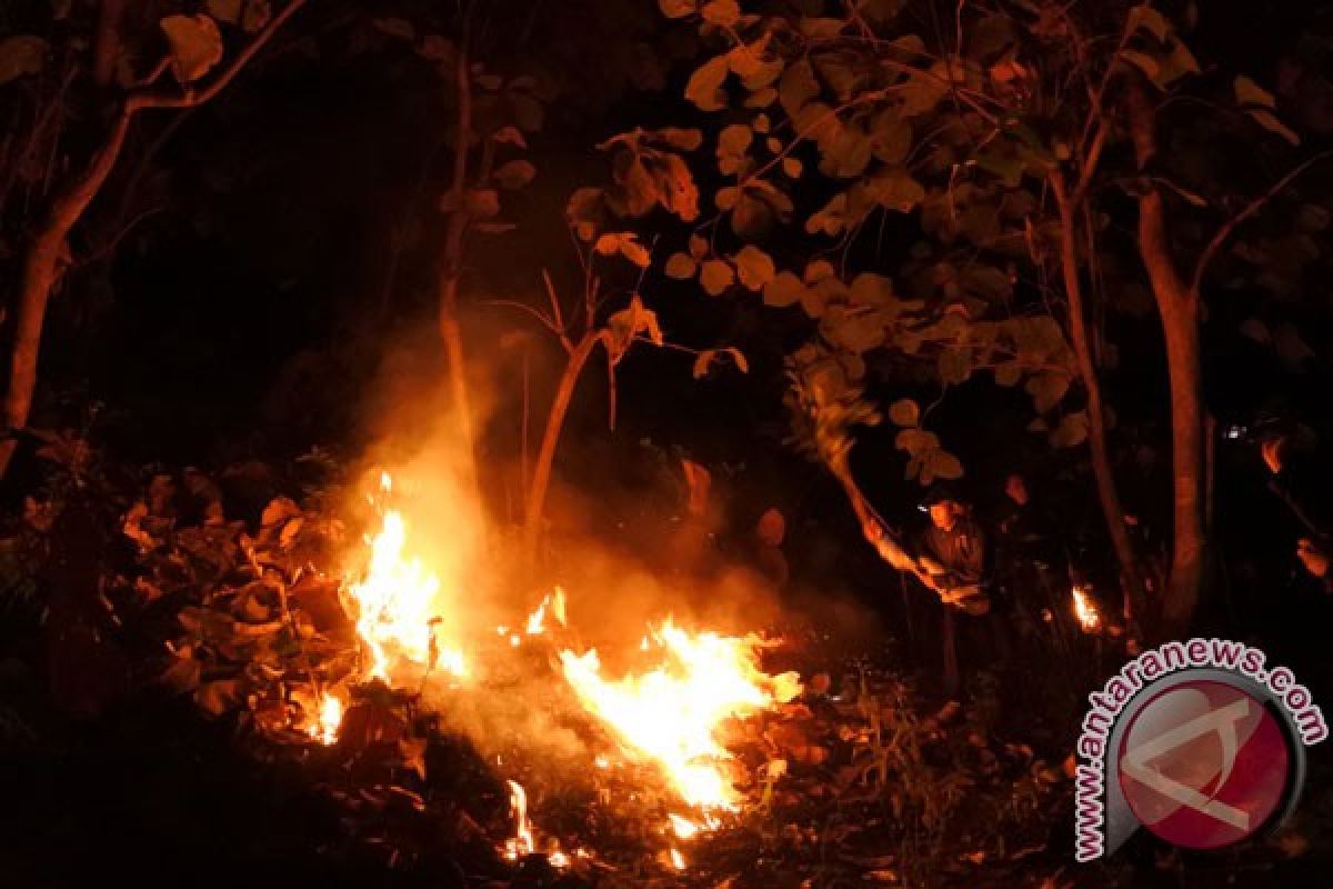 Bojonegoro waspadai ancaman kebakaran hutan