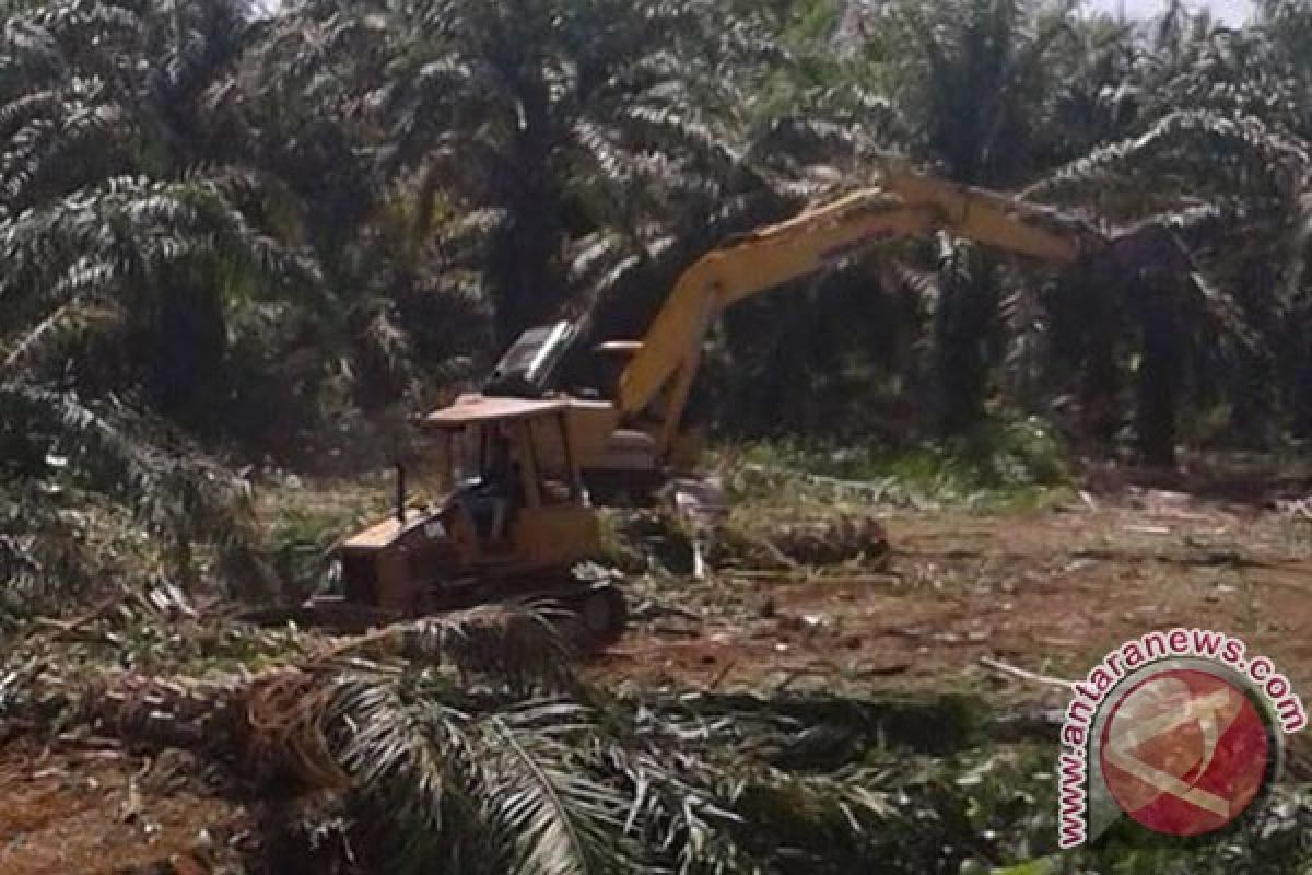 Ratusan Hektare Lahan Mukomuko Dicetak Jadi Sawah