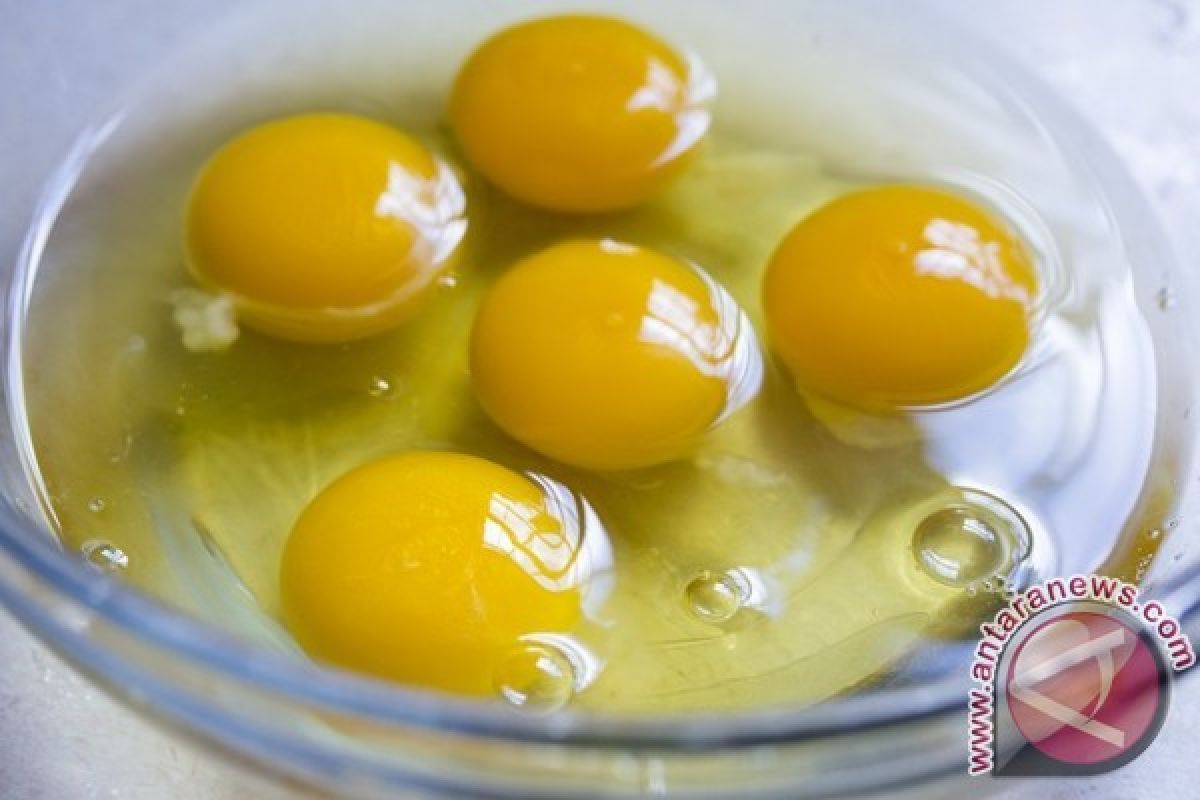 Waktunya Berhenti Makan Putih Telur Saja, Mengapa?