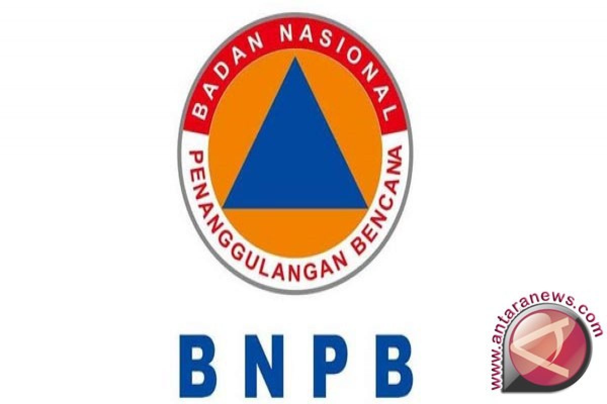 3,721 disasters occurred in 2019: BNPB
