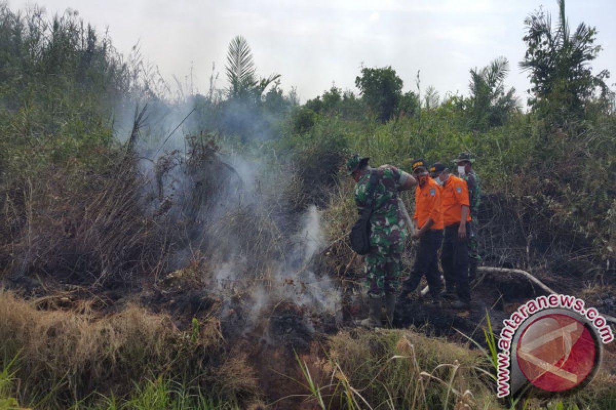 Lahan Sawit Ludes, Kerugian Ujung Gading Sekitar Rp600 Juta