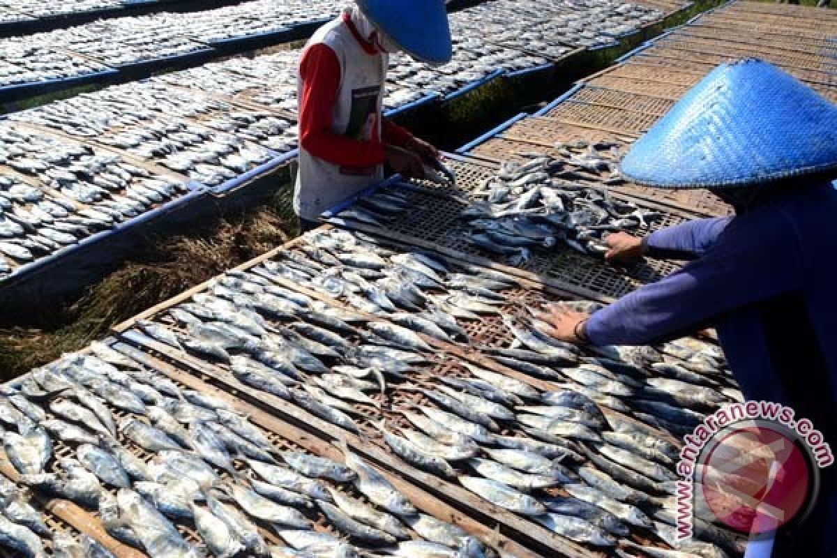 Pelaku Industri Ikan Asin Keluhkan Harga Garam