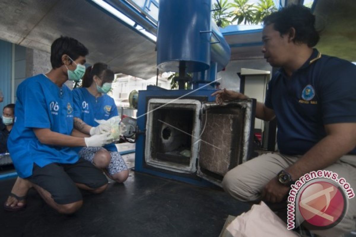 BNNP Bali musnahkan 12 kg narkoba (video)