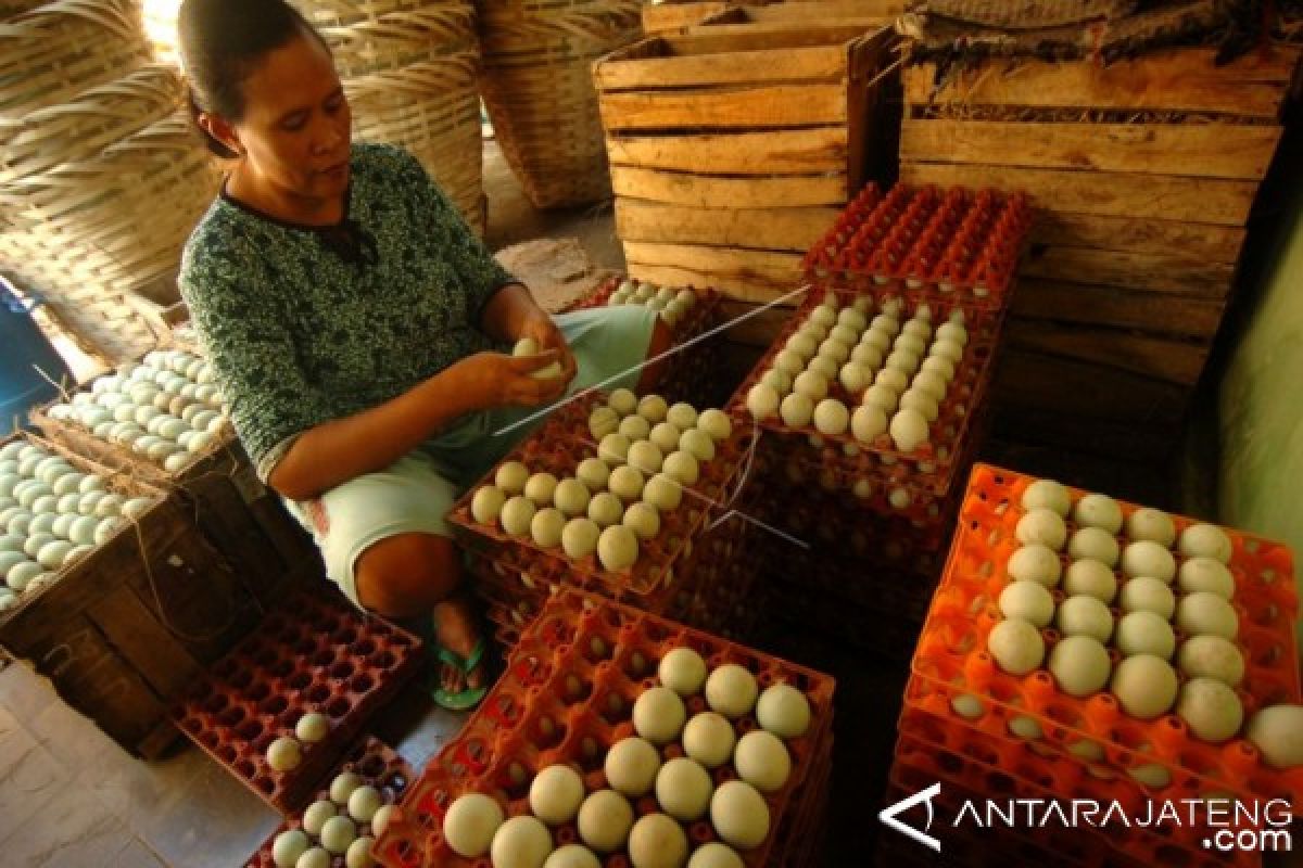 Lebaran, penjualan telur asin Brebes capai 20.000/hari