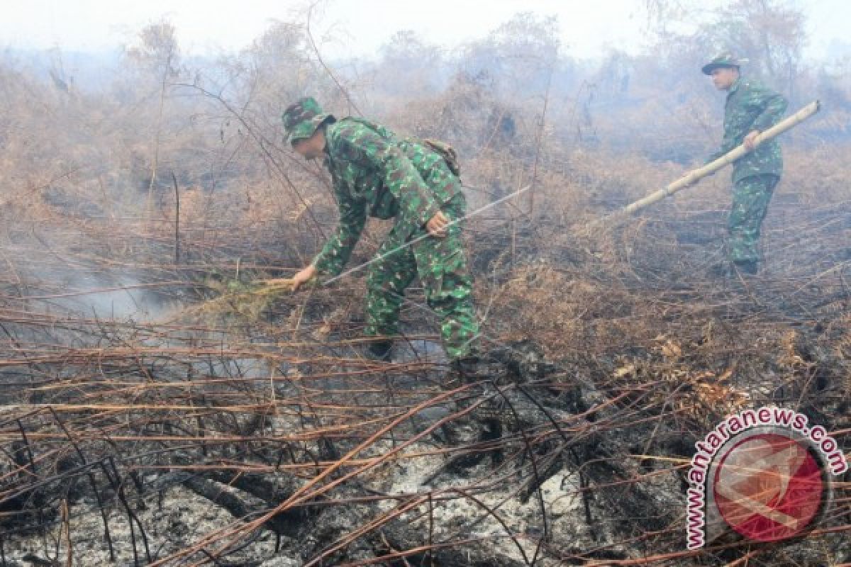 Gubernur Aceh pantau karhutla lewat udara