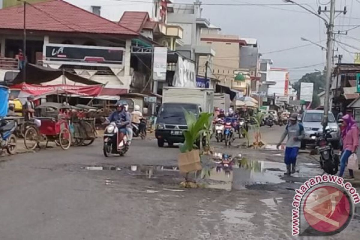 Kesal, Warga Ampah Tanam Tunas Kelapa di Tengah Jalan Berkubang