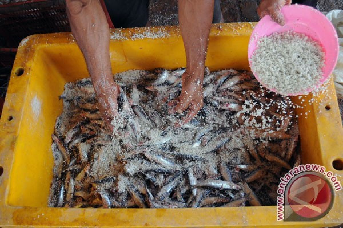 Harga cabai dan ikan asin di Sukabumi naik