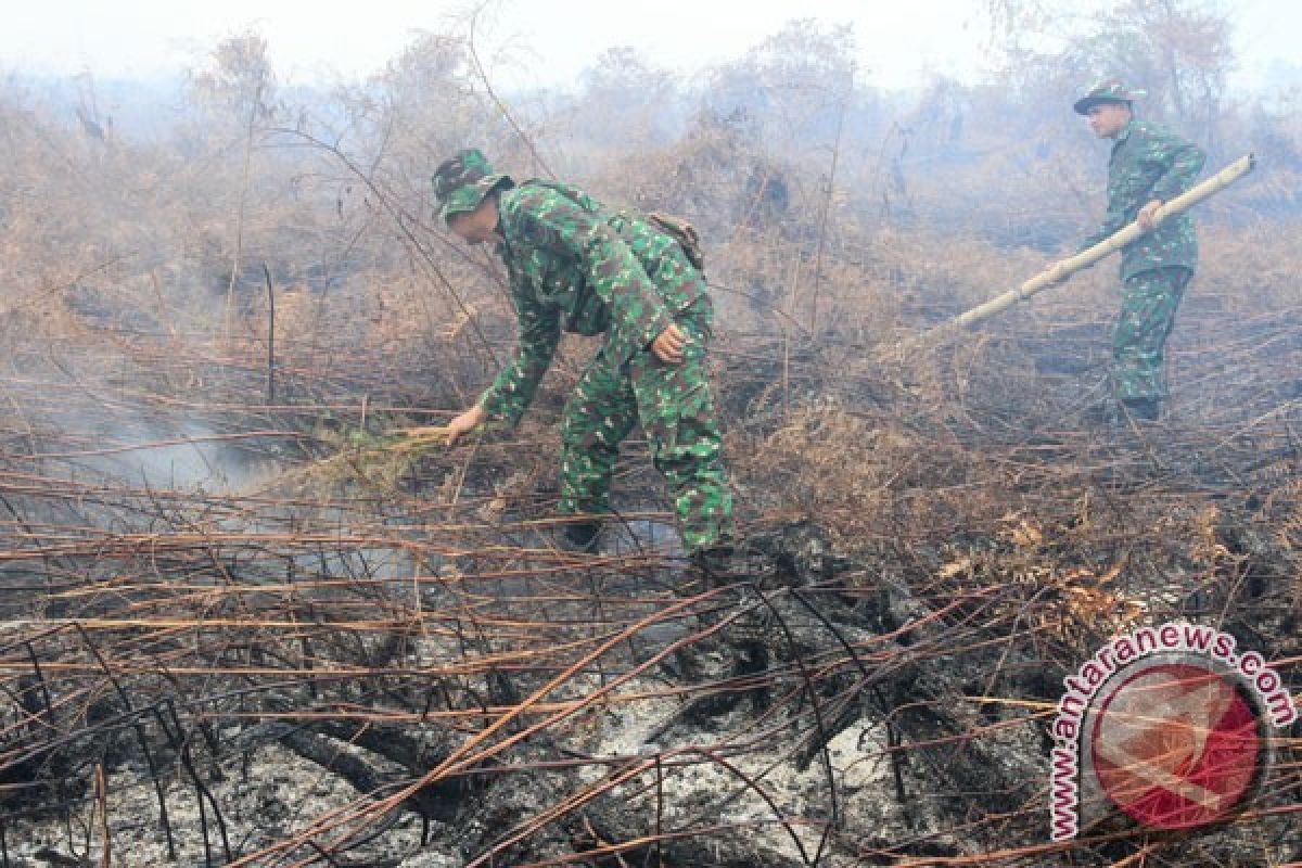 Asap di Aceh Barat meningkat dan makin mengganggu