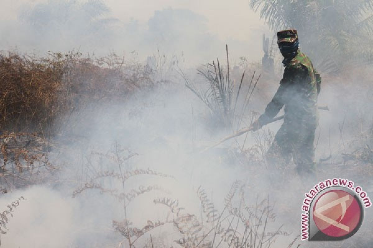 BMKG : enam titik panas terpantau di Riau