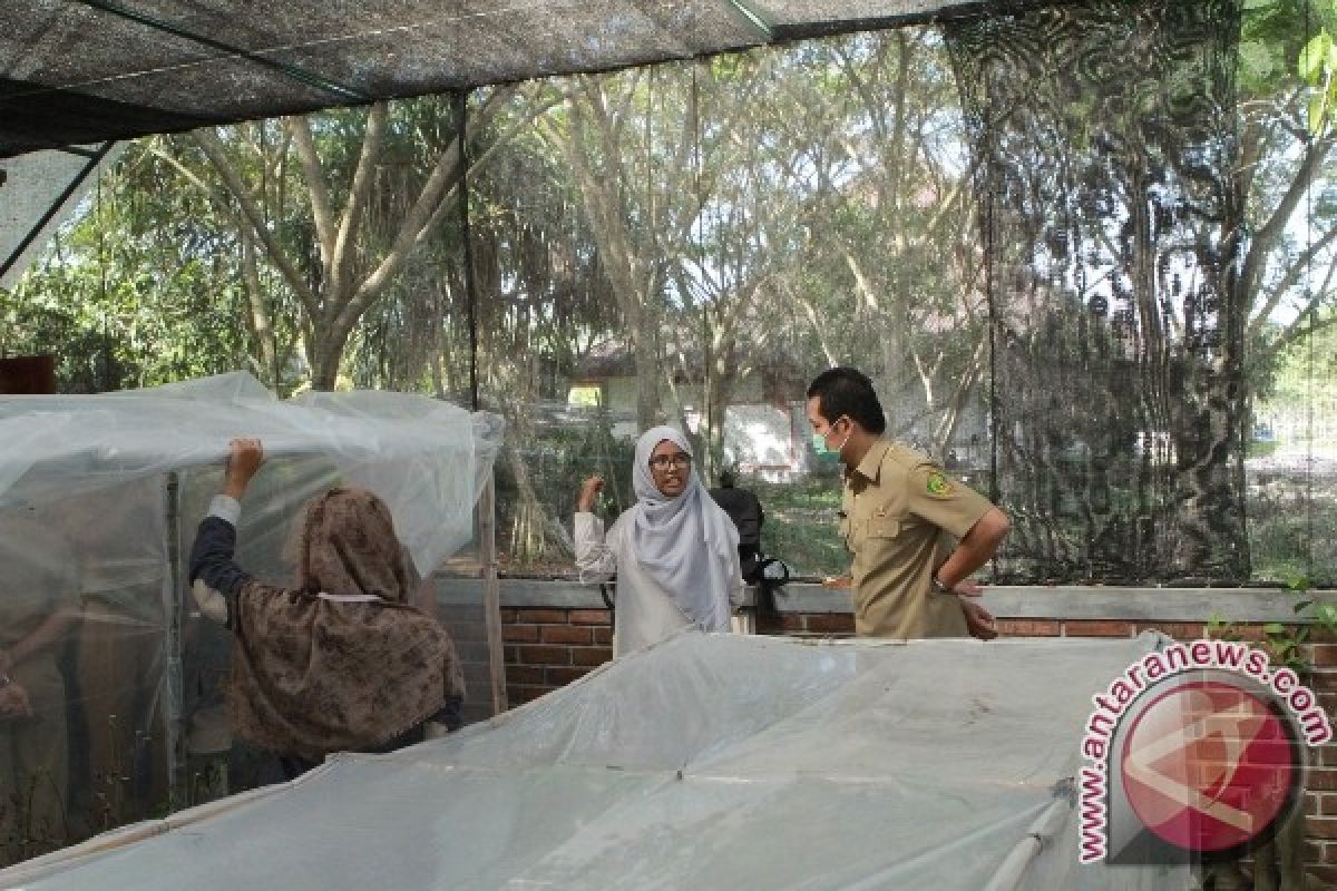 LIPI Eksplorasi Gunung Untuk Kebun Raya Jembrana