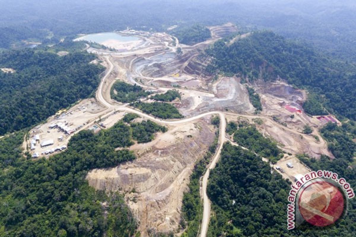 Jambi`s seven illegal gold miners still trapped underground: Rescuers