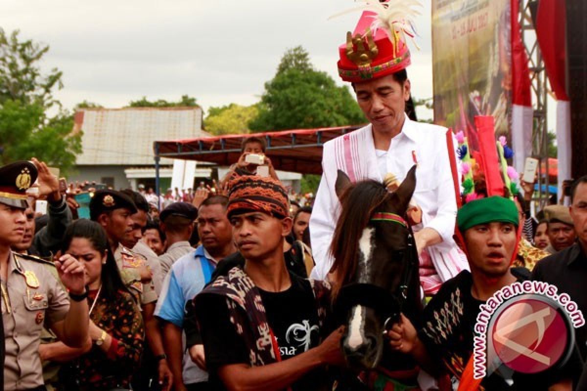 Presiden Jokowi dikirimi dua kuda jantan sandelwood