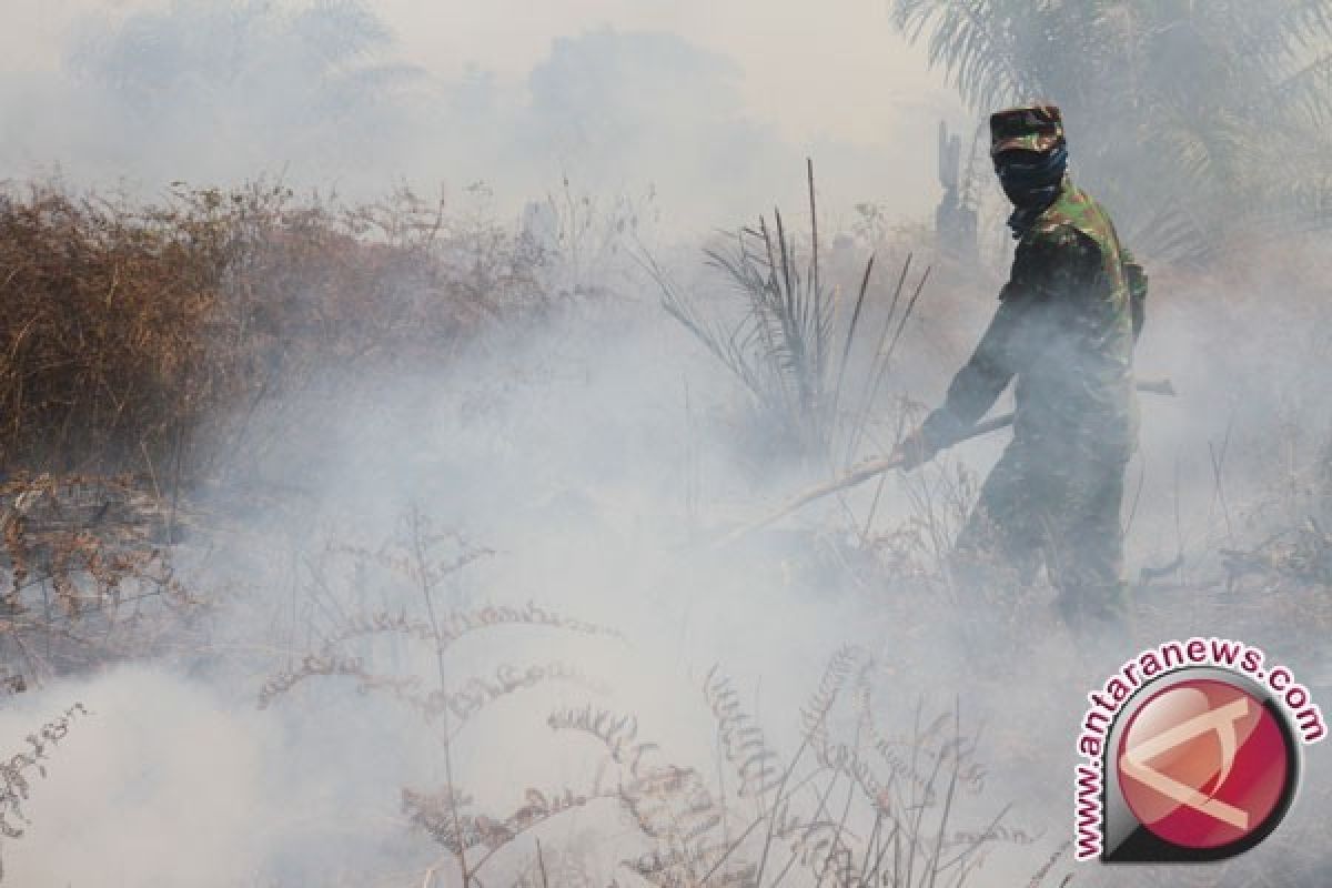 Menanti tegaknya hukum di gambut terbakar