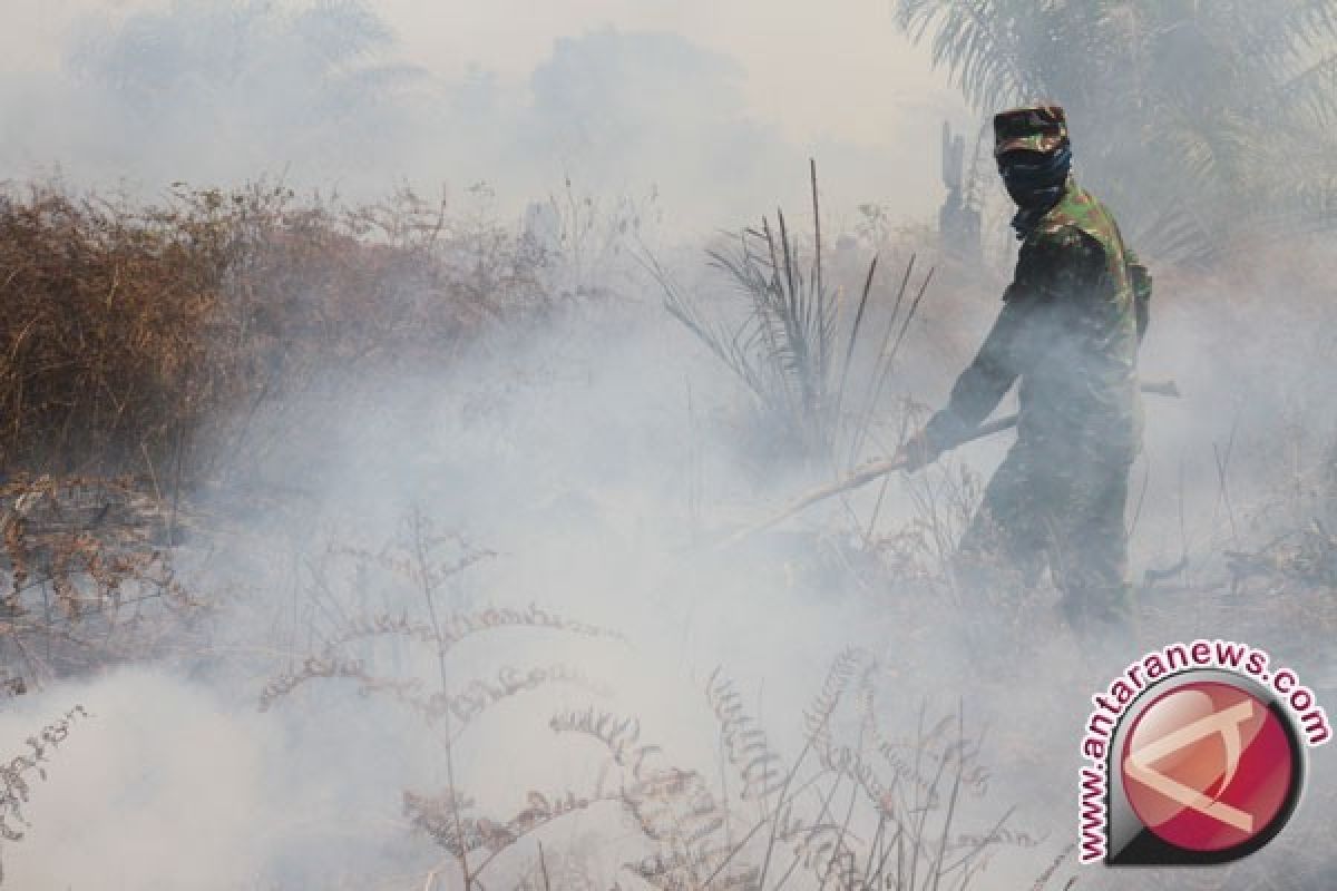 Pelajar Aceh Barat tumbang akibat asap