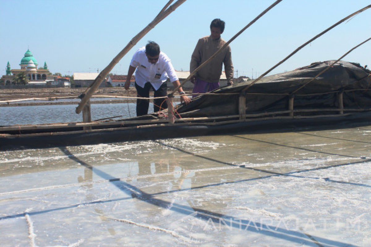 Khawatir Kebijakan Impor, Petani Probolinggo Diminta Genjot Produksi Garam 