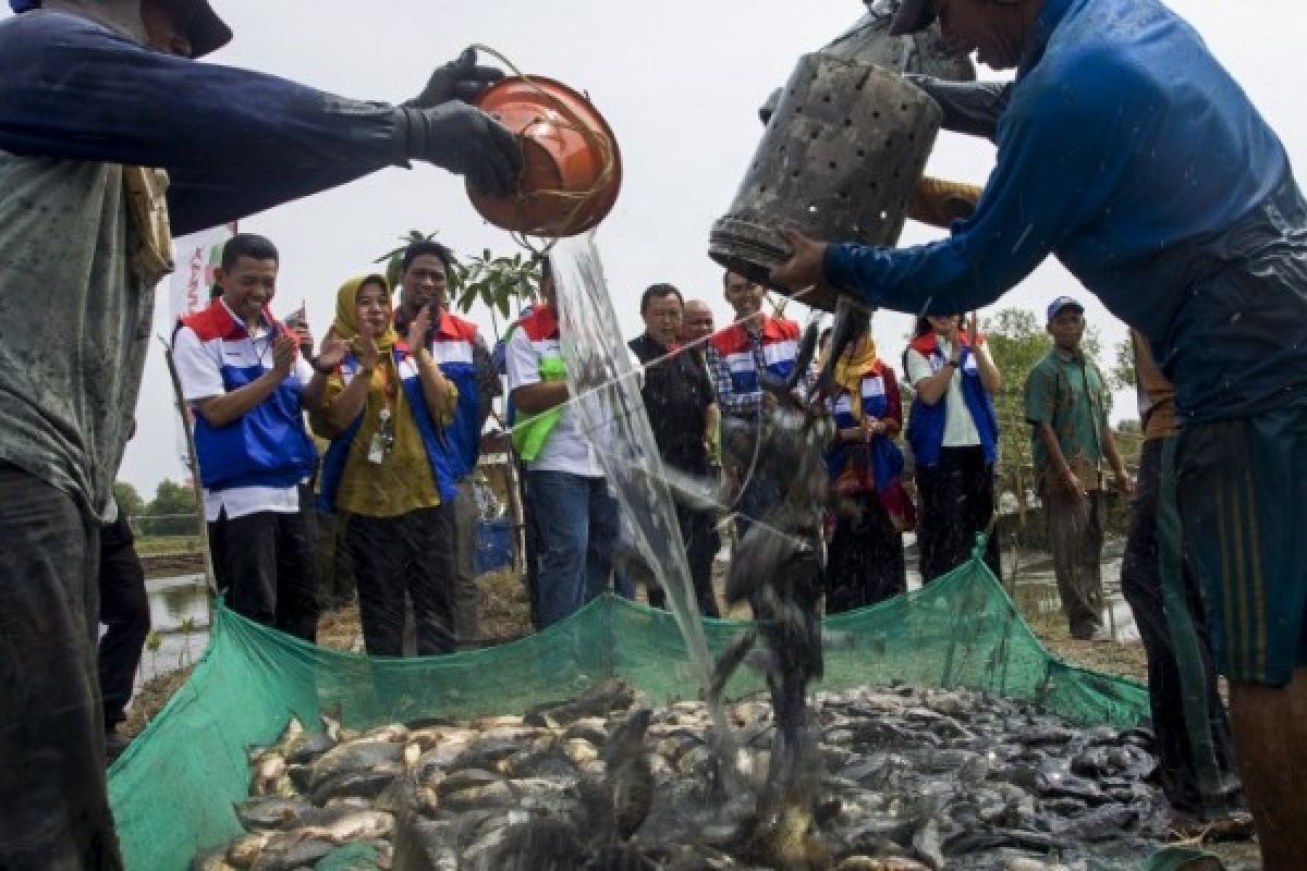 Masyarakat Bunut Hilir Undang Menteri Perikanan