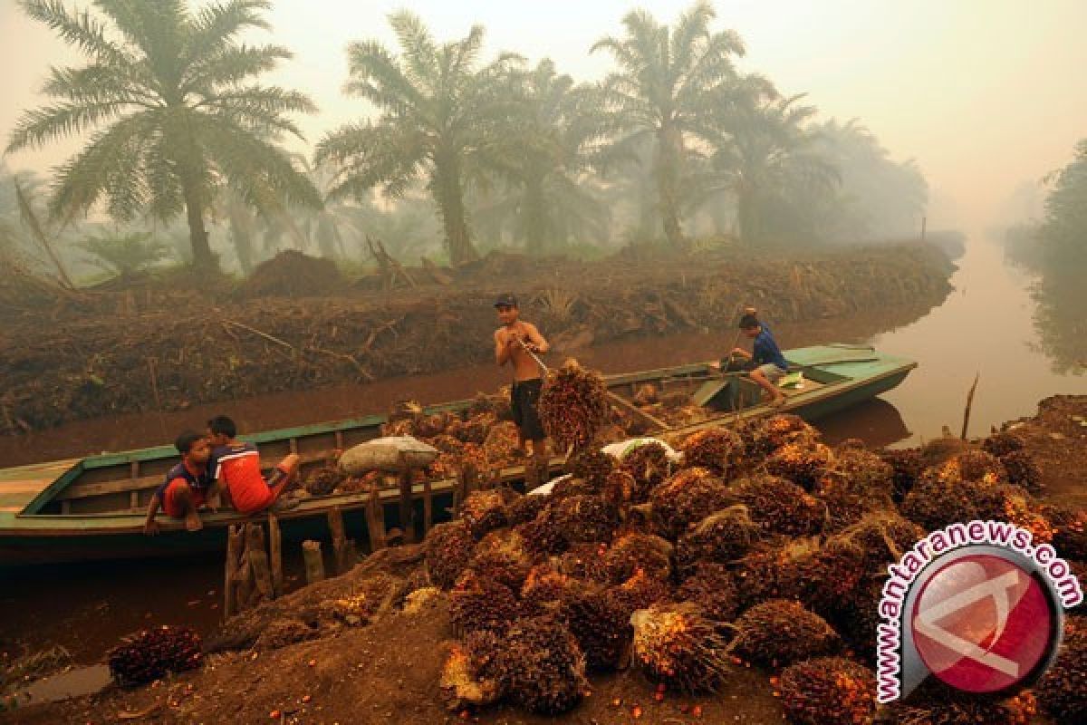 Kolombia ajak Indonesia perangi diskriminasi perdagangan UE