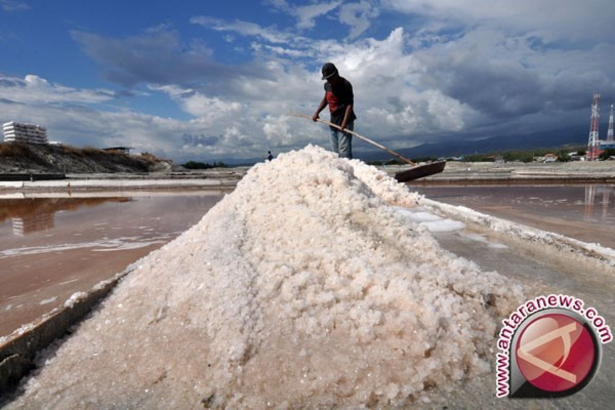 Harga garam di Manado naik lagi
