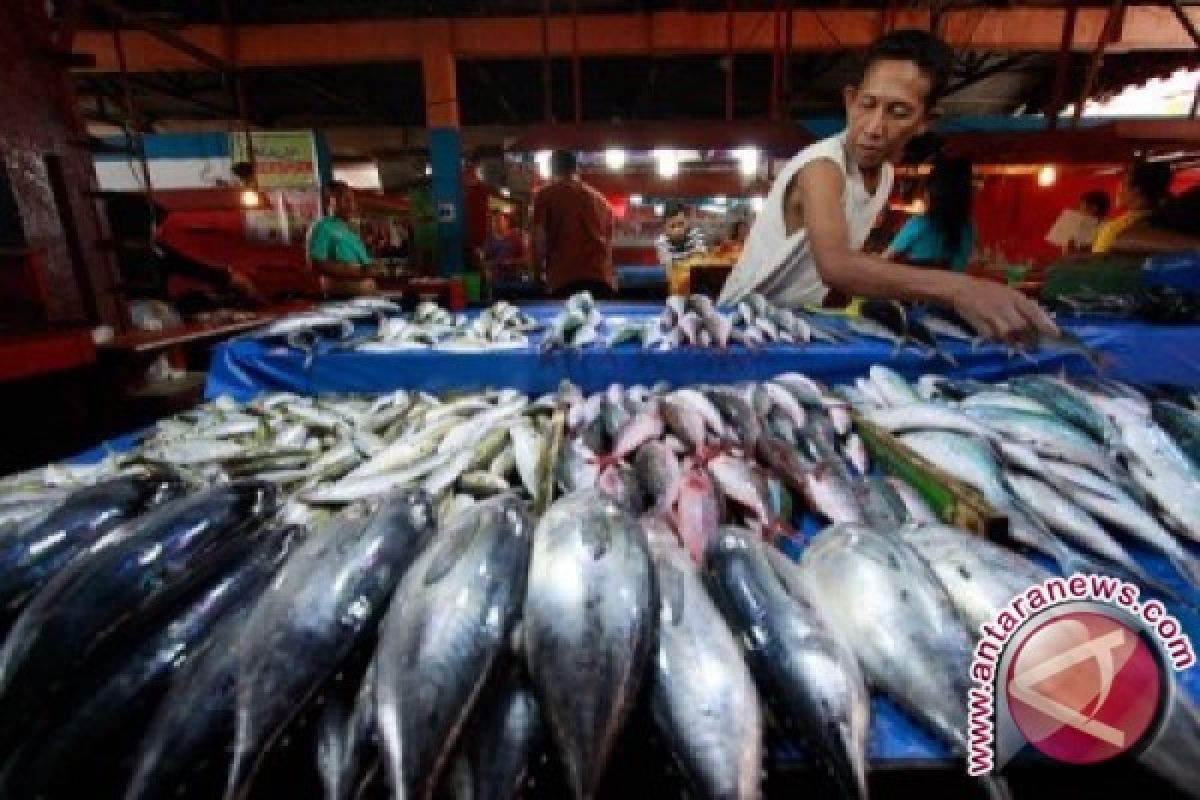 Komoditi Ikan Kembali Sumbang Inflasi Di Palu