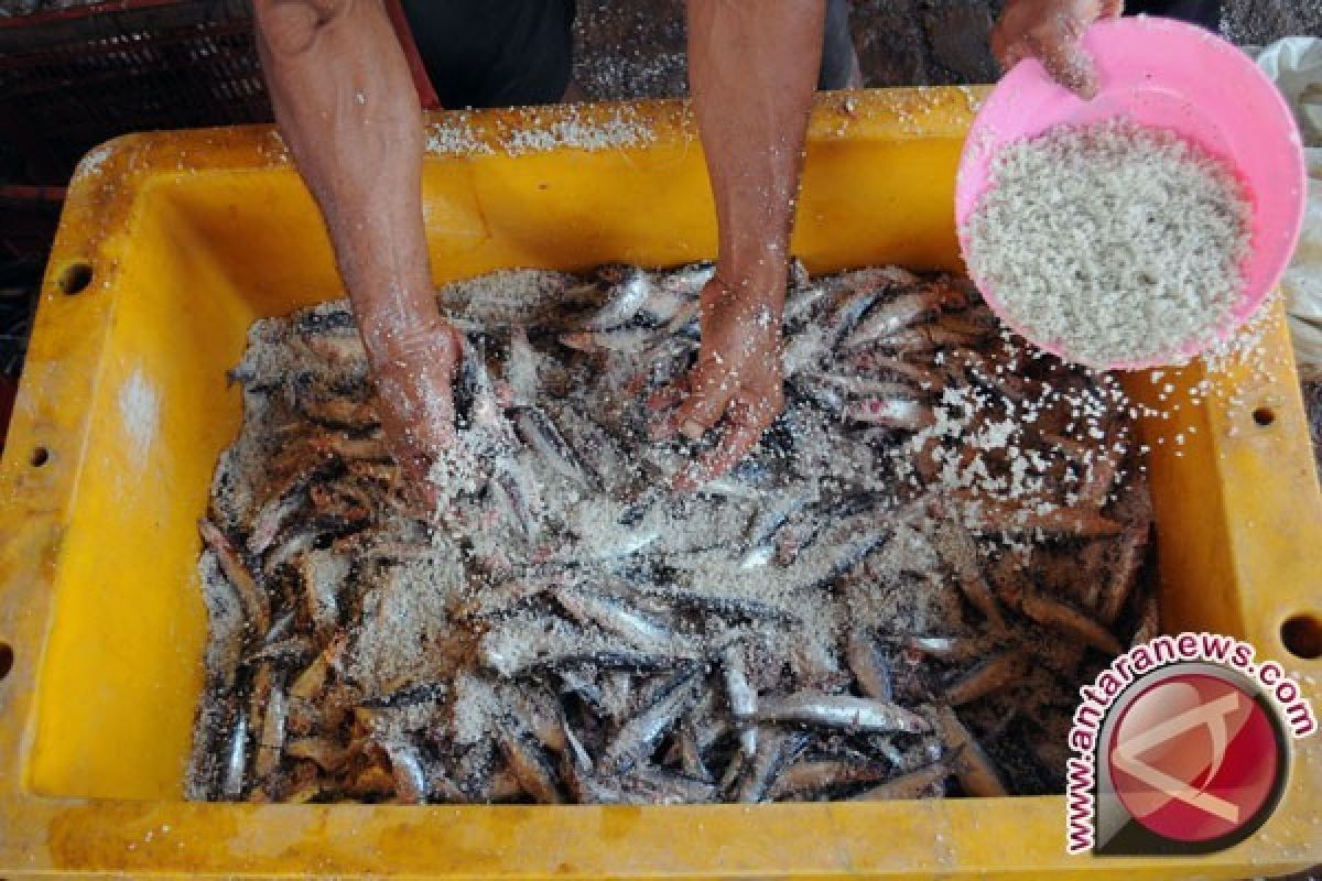 UMKM Ikan Asin Di Kotabaru Terancam Tutup 