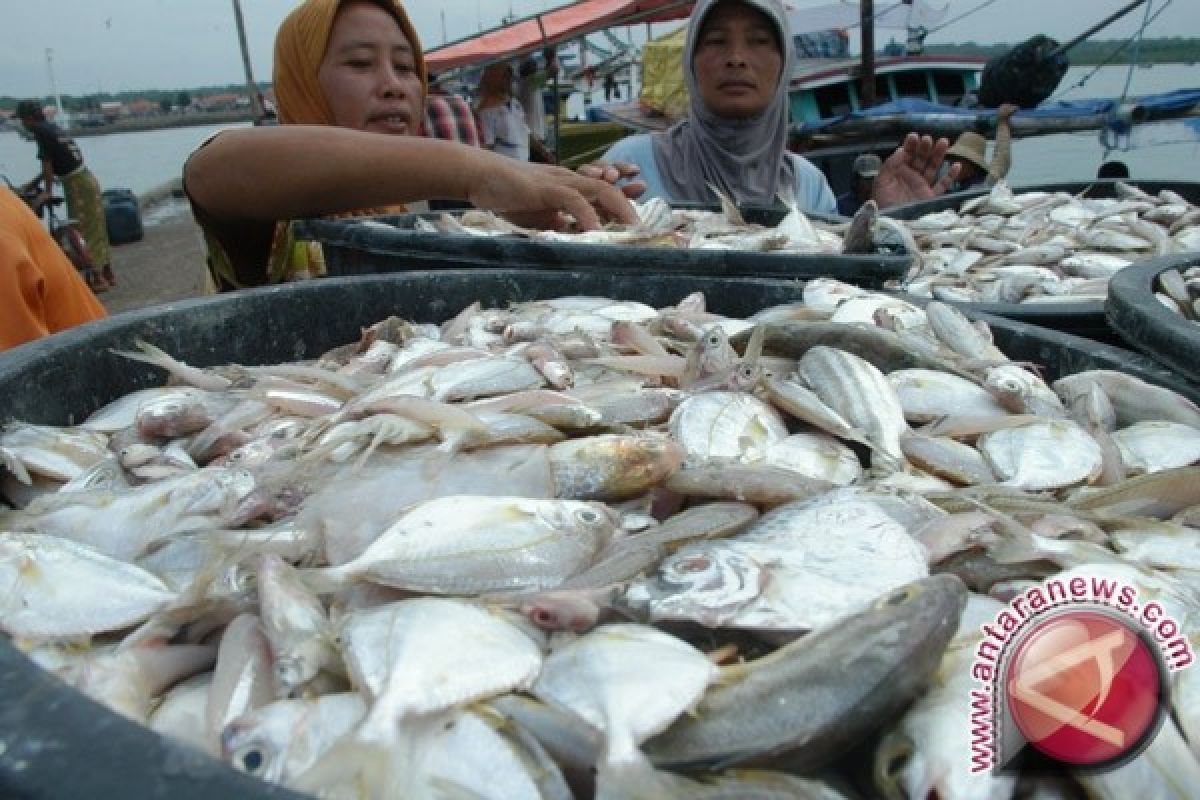 Harga Ikan Bertambah "Kencang" 