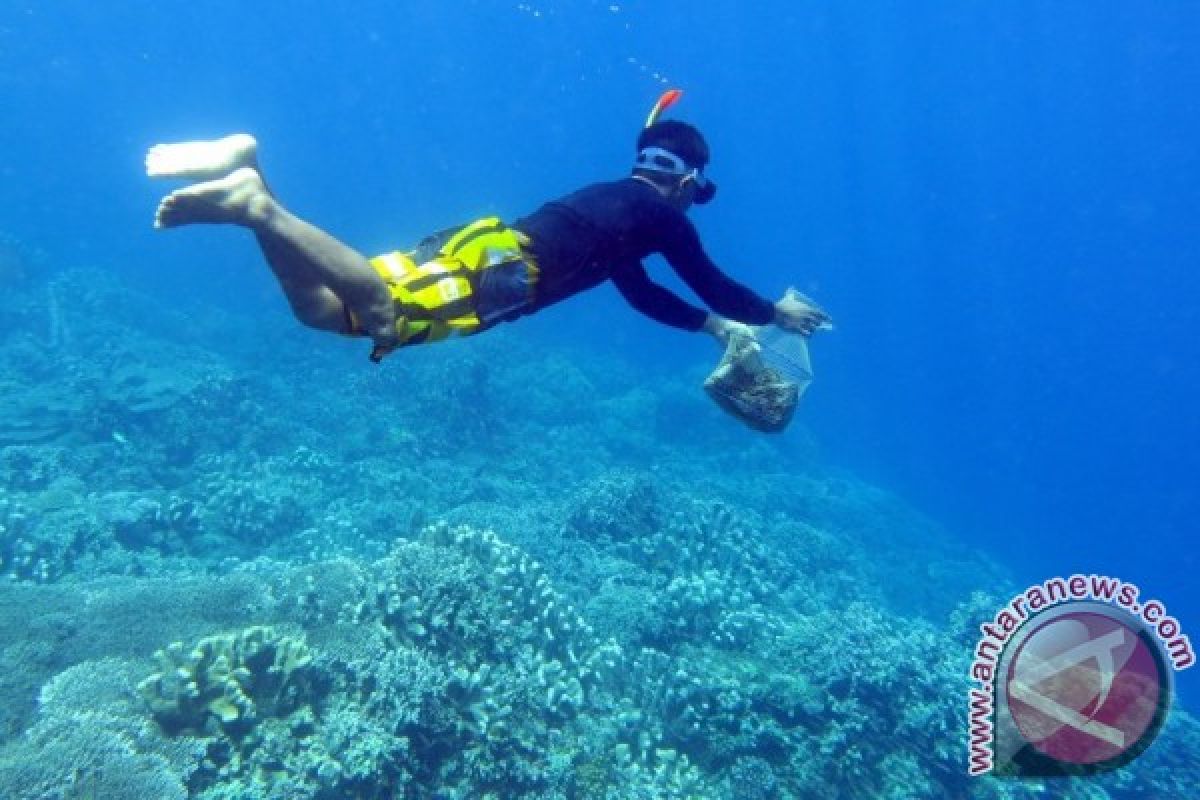 Perlu Perda Larang Buang Sampah di Laut 