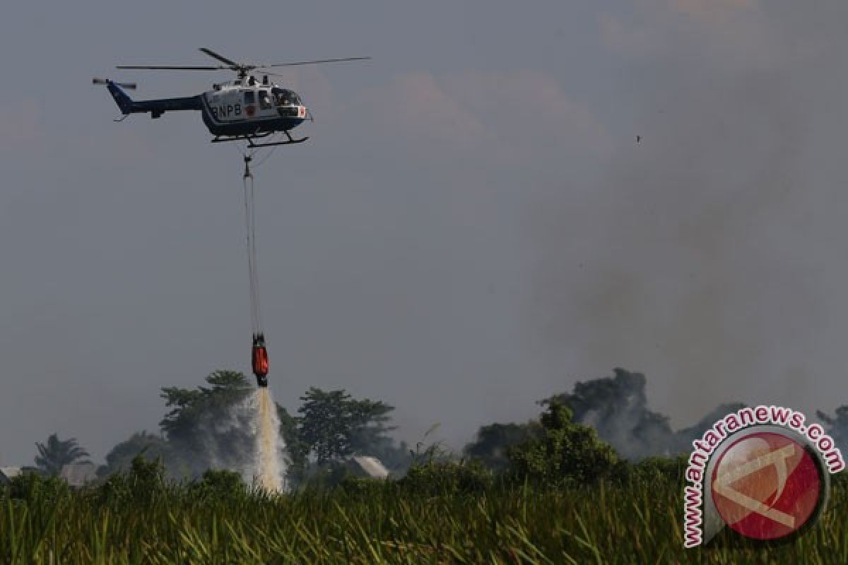 BMKG: sejumlah kabupaten di Sumsel rawan karhutla hingga September