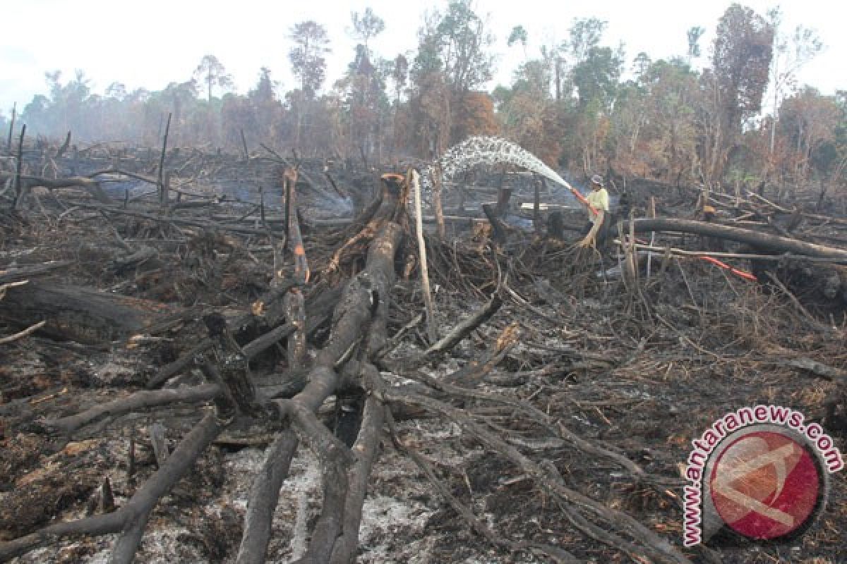 Heli pemadam masih beroperasi di Aceh Barat