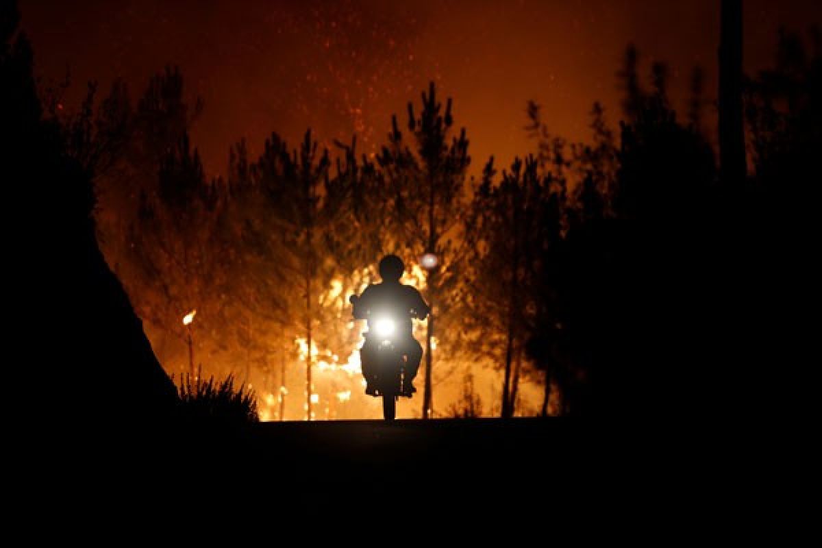 Portugal berjuang atasi kebakaran hutan, ribuan orang mengungsi