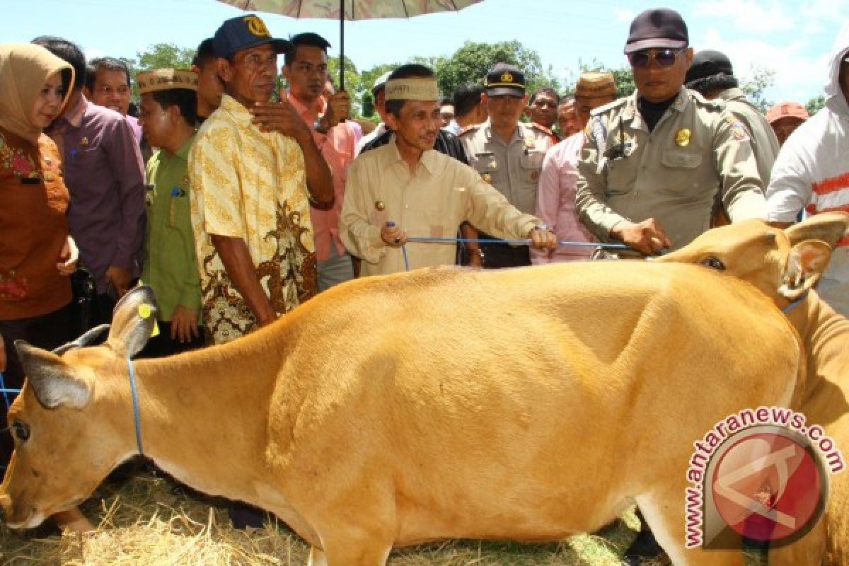 Bupati Minta Pendataan Ulang Penerima Bantuan Ternak