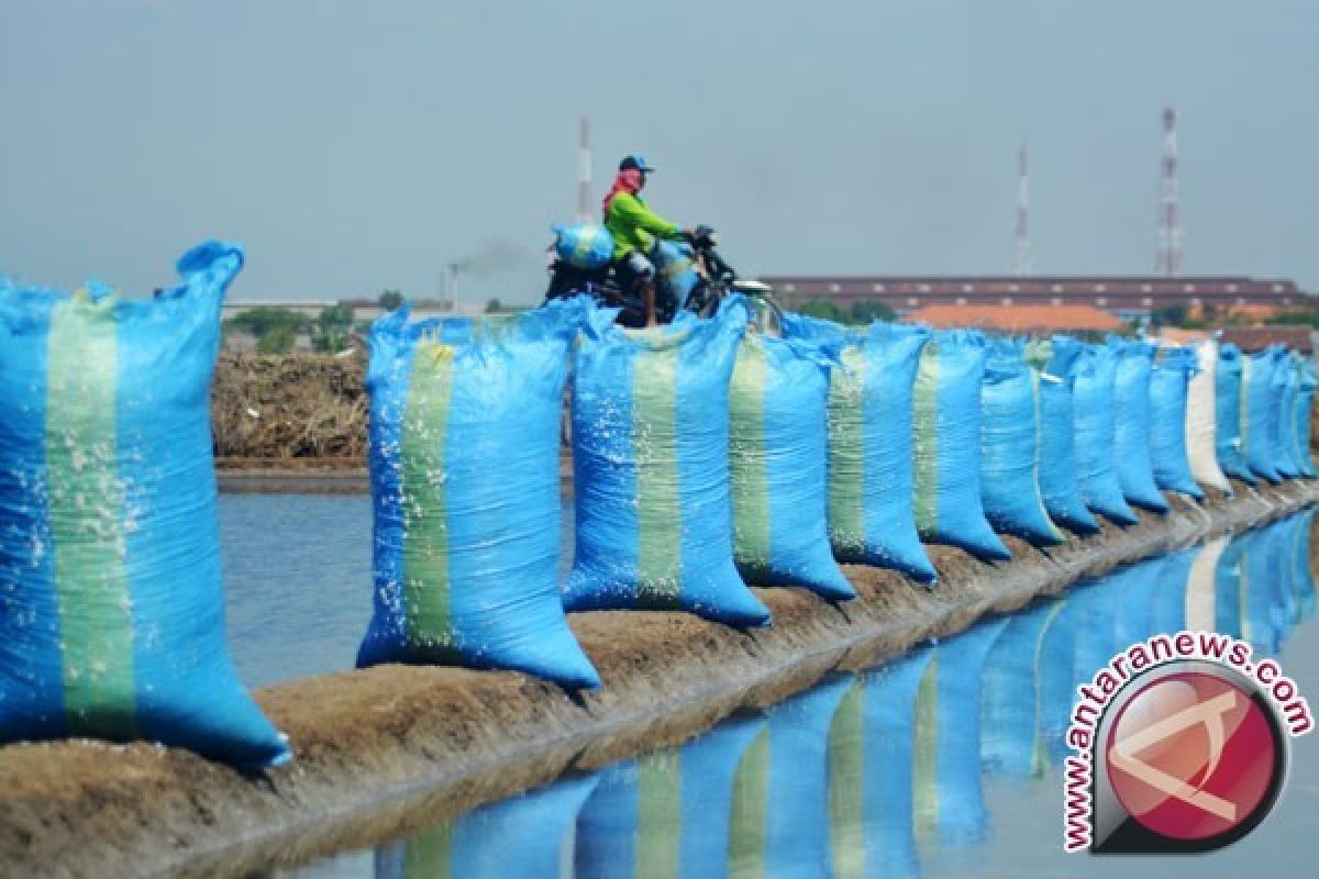 Pembuat Ikan Asin di Karangantu Kesulitan Garam