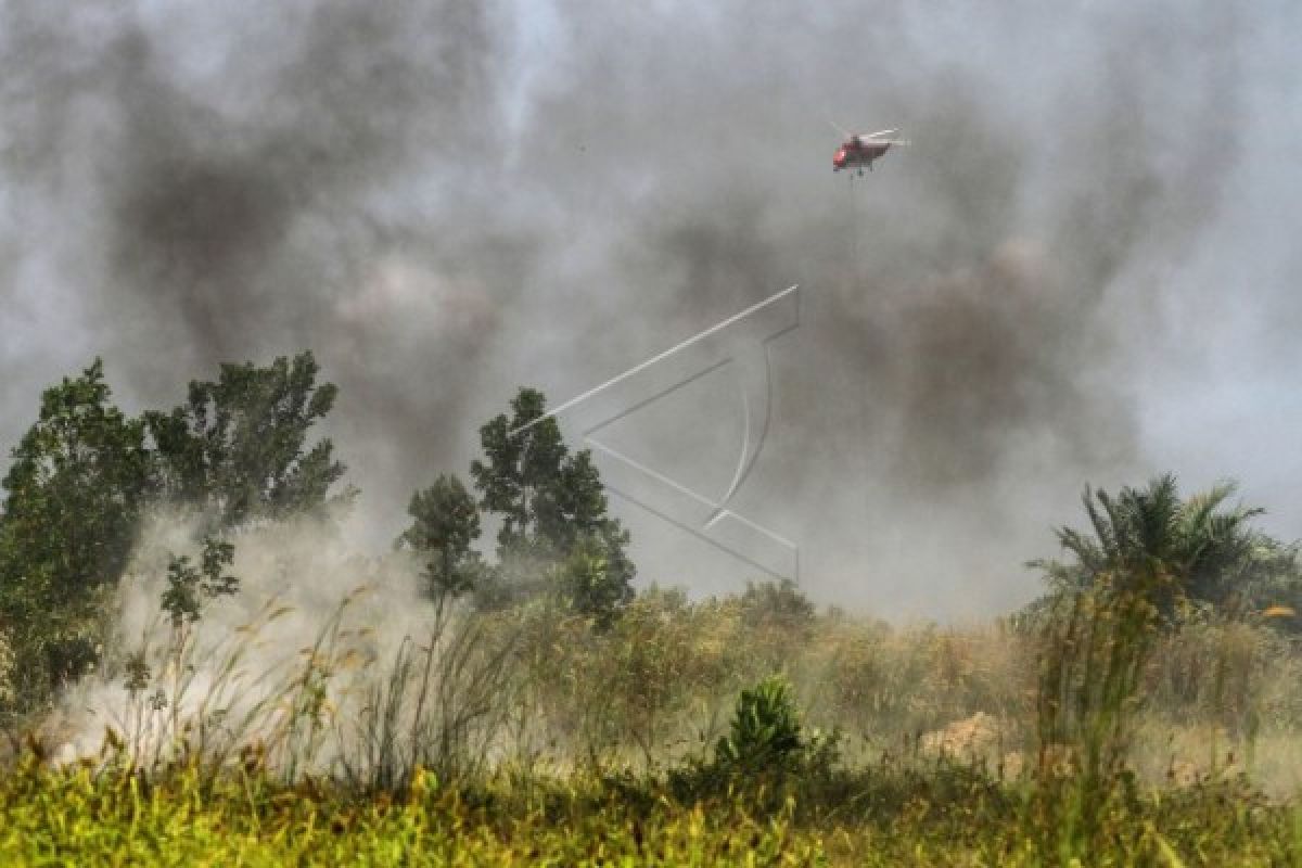 Siaga darurat bencana asap di Kabupaten Mempawah