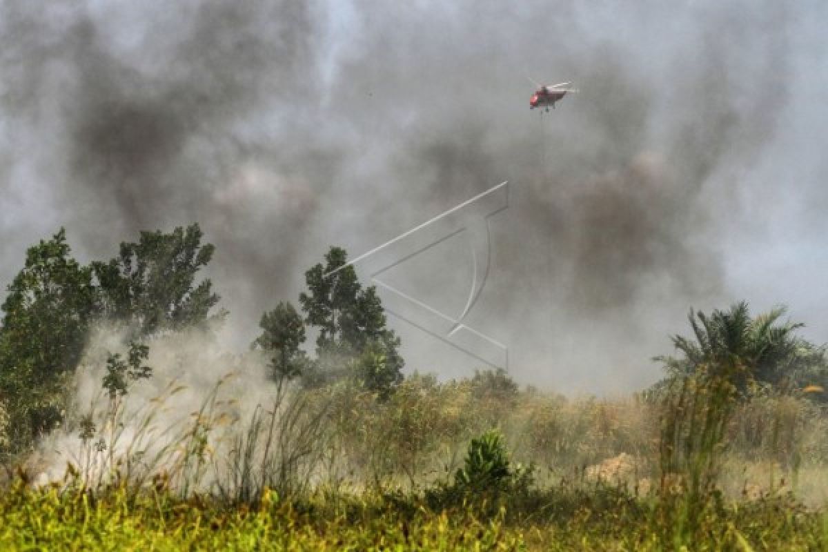 Sintang perlu solusi larangan bakar lahan