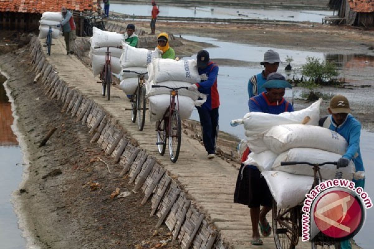 Luhut akan hilangkan perbedaan garam industri-konsumsi