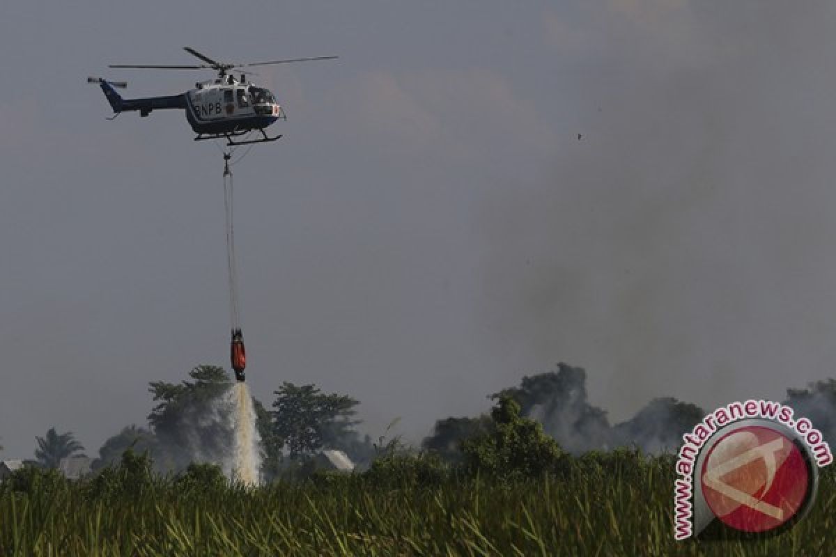 BNPB optimalkan patroli udara atasi kebakaran hutan dan lahan