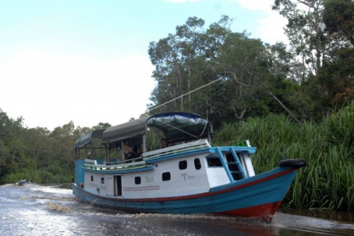 Two foreign tourists go missing in Tanjung Puting National Park