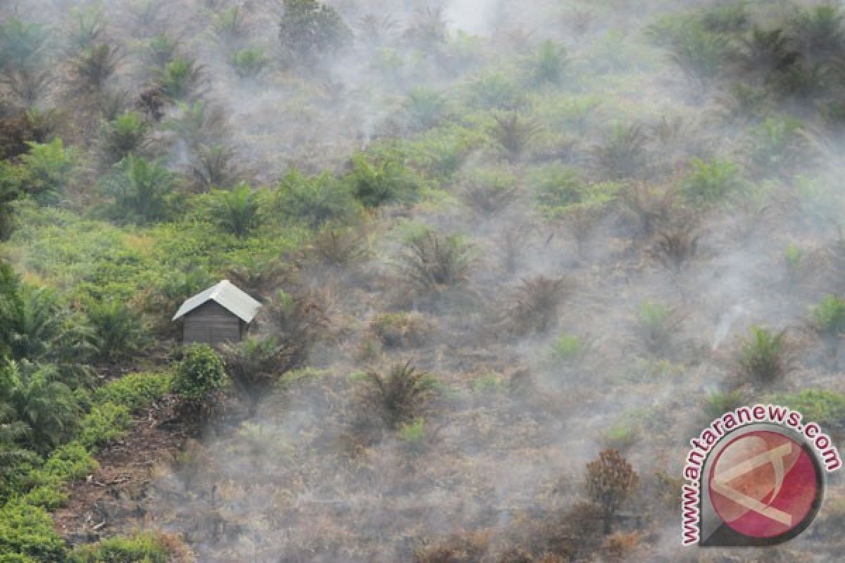 Padamkan kebakaran hutan Riau, KLHK kerahkan manggala agni