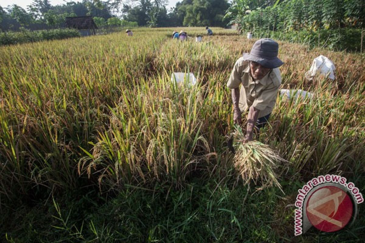 Chatib Basri: Ekonomi tidak cukup tumbuh lima persen