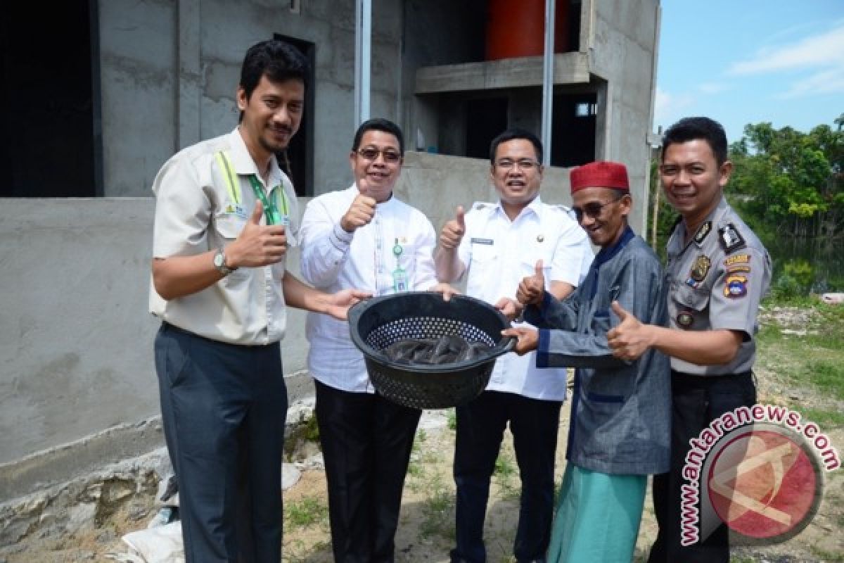 Wakil Bupati Panen Perdana Ikan Lele